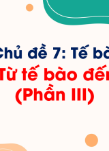 Bài 13. Từ tế bào đến cơ thể (Phần III)